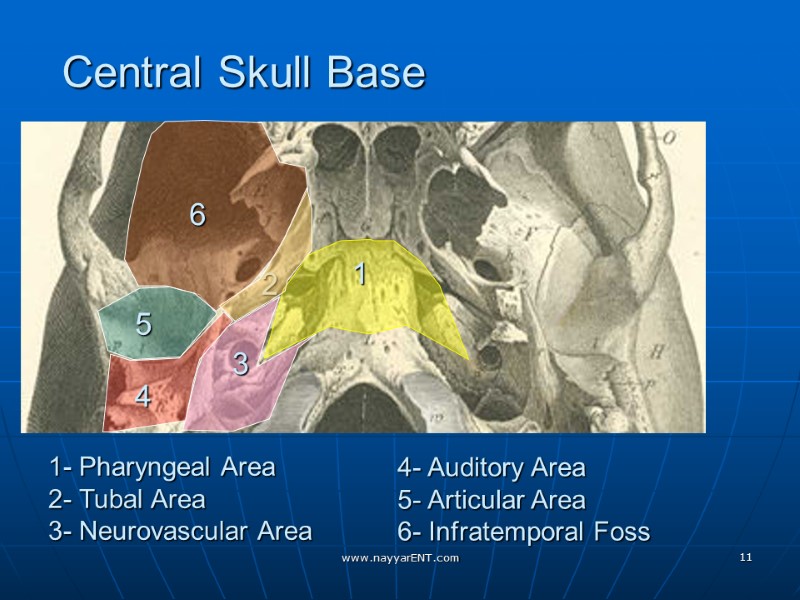 Central Skull Base 1 1 2 3 6 5 4 1- Pharyngeal Area 2-